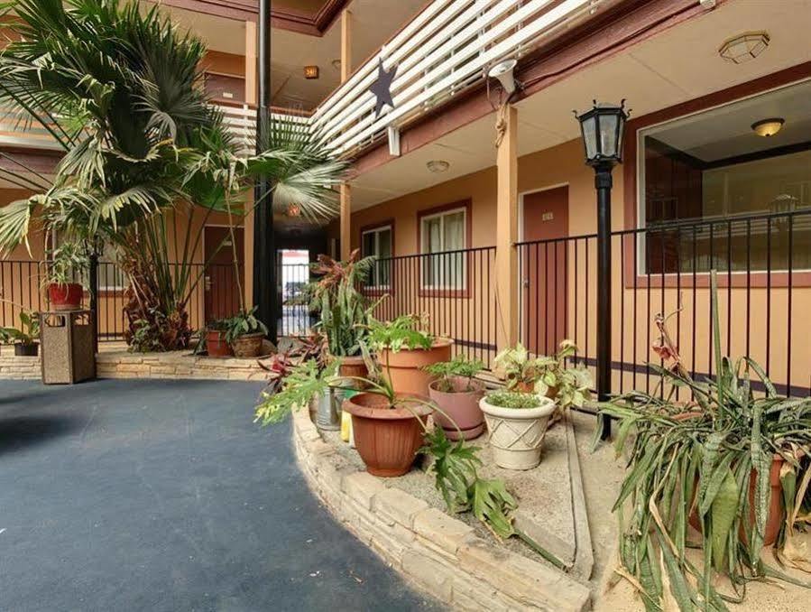 Budget Host Inn Арлингтон Экстерьер фото